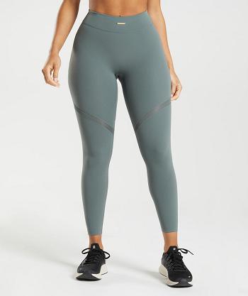 Dámské Legíny Gymshark Whitney Mesh Šedé | CZ 4006HAP